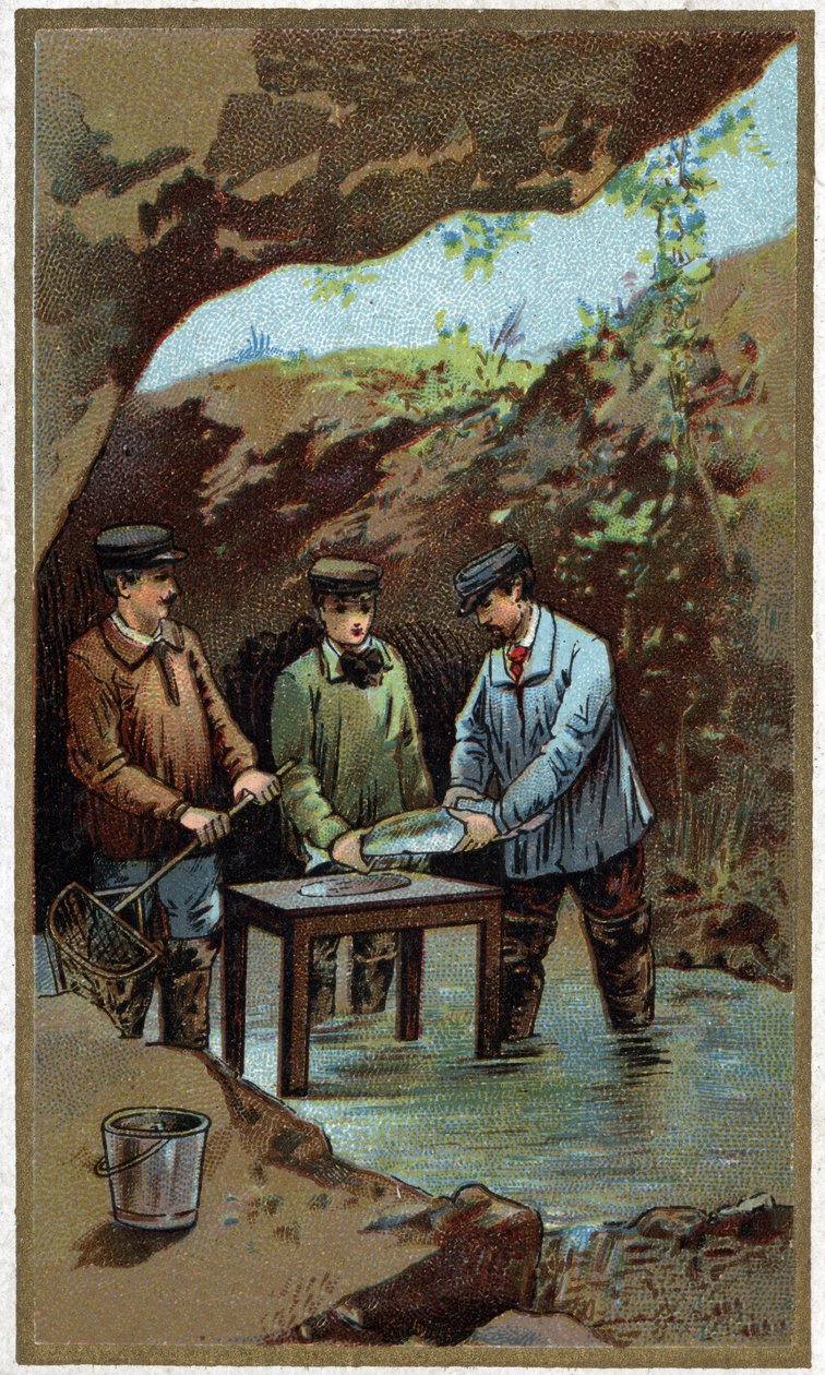 Hodowla ryb: sztuczne kładzenie. Chromolitografia z końca XIX wieku autorstwa Unknown artist