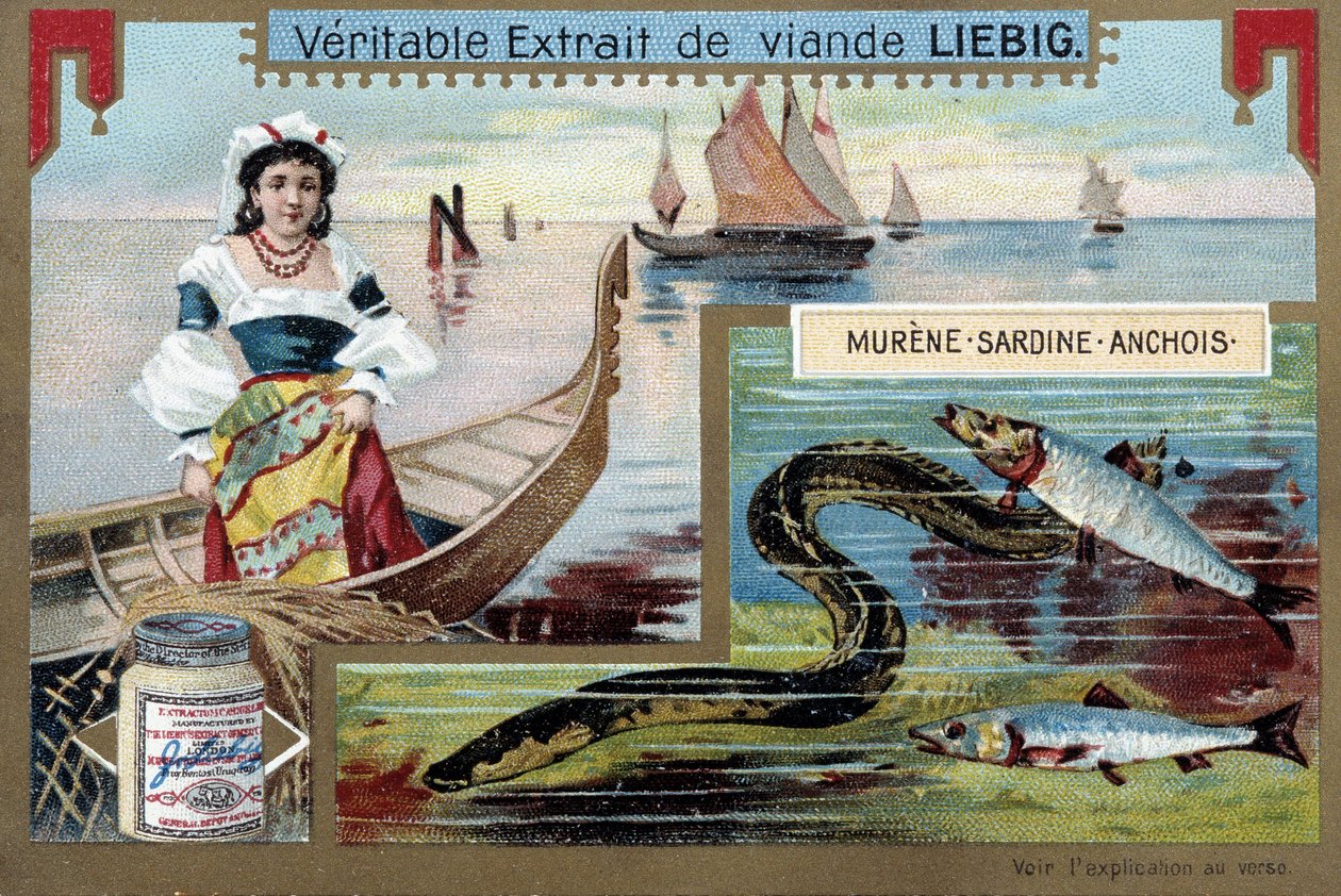 Łodzie rybackie i ryby (murena, sardynki, sardele) - chromo. Liébiga, v.1900 autorstwa Unknown artist