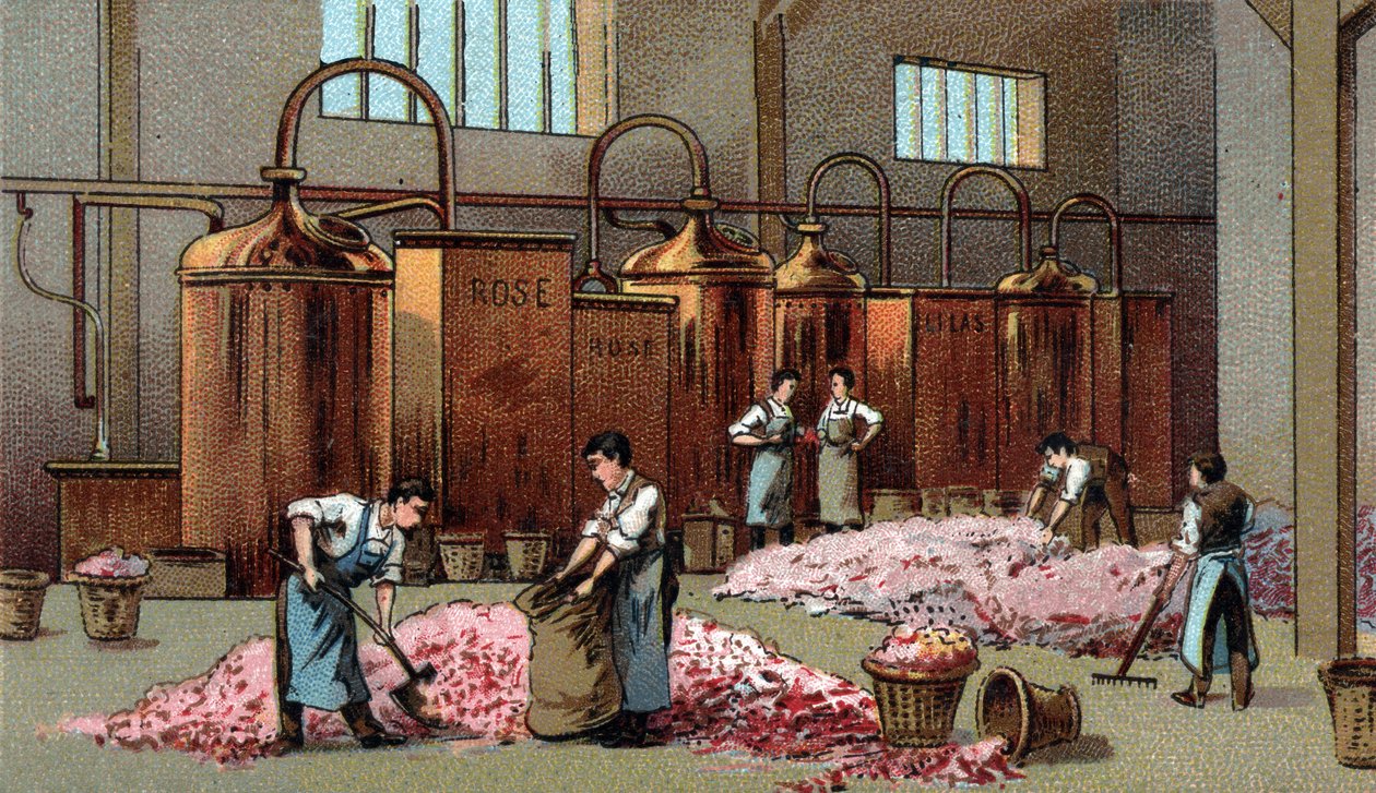 Destylarnia kwiatowa do produkcji benzyny i wody Kwiatów. Chromolitografia z końca XIX wieku autorstwa Unknown artist