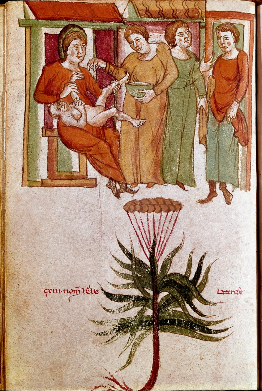 Cztery kobiety opiekujące się dzieckiem, handel w opiece nad dziećmi. (miniatura, początek XIII w.) autorstwa Unknown artist