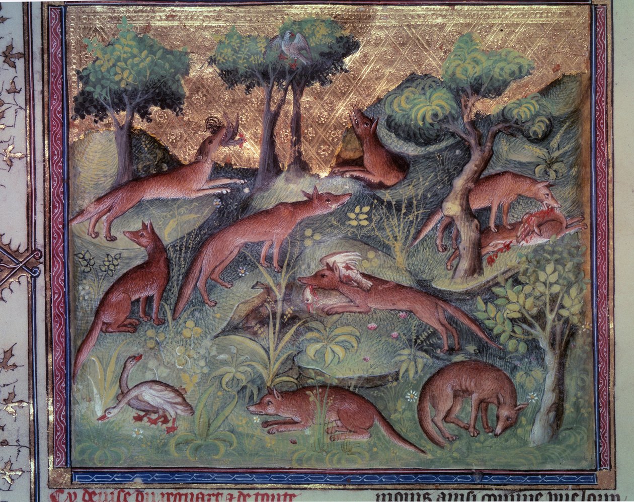 Drób polujący na lisy. Miniatura z rękopisu „Le livre de la chasse” (folio 34v) Gastona Phoebusa (1331-1391) dit Gaston III Comte De Foix autorstwa Unknown artist