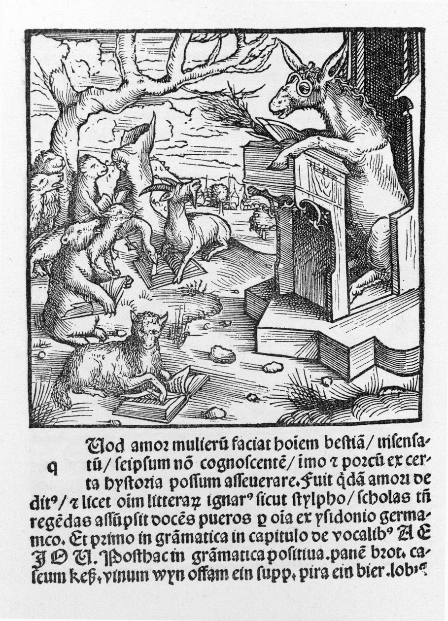 Niemiecki inkunabuł przedstawiający osła uczącego klasę leśnych zwierząt. 1490. autorstwa Unknown artist