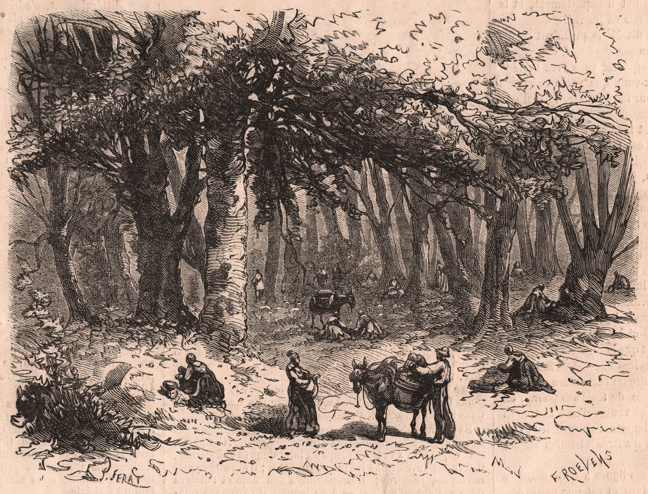 Grupa ludzi zbierających grzyby w lesie Fontainebleau autorstwa Unknown