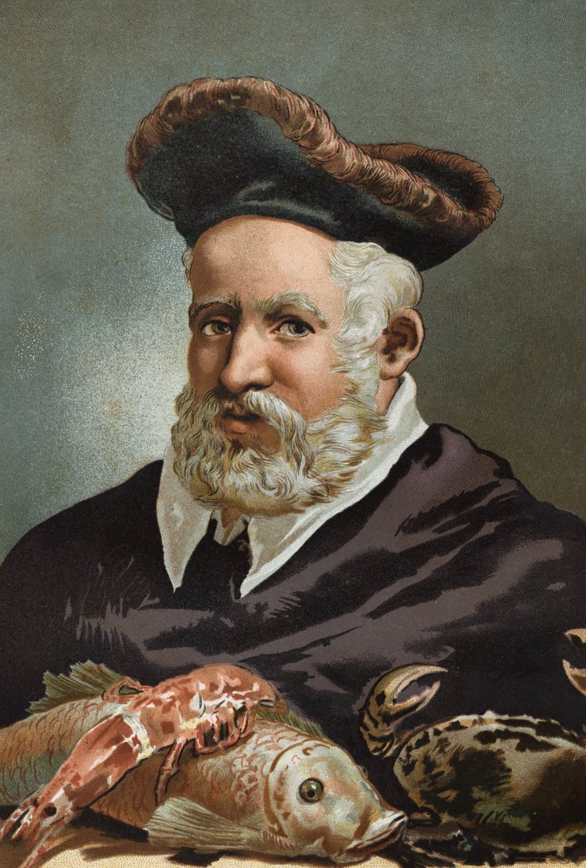 Guillaume Rondelet przyrodnik i medycyna francuska. 1507-1566.after Science and its Men autorstwa Louisa Figuiera. Barcelona 1881 autorstwa Unknown artist