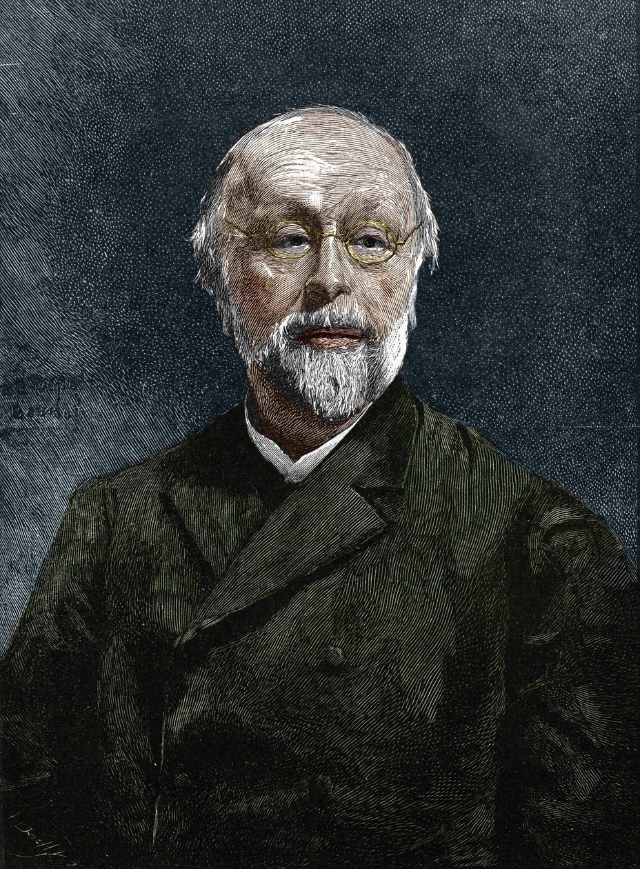 Hippolyte Taine (1828-1893), francuski filozof i historyk. autorstwa Unknown artist