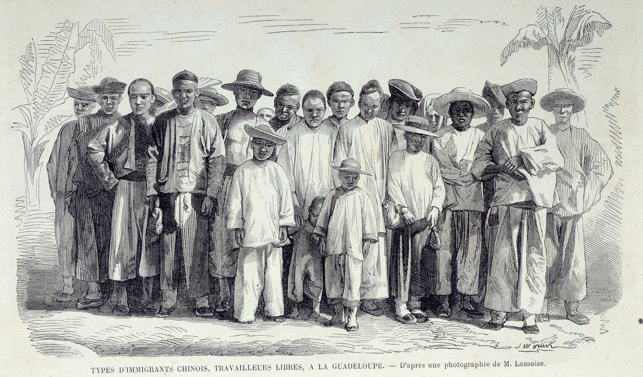Historia kolonii francuskich: Chińscy imigranci pracujący na Gwadelupie. Rysunek po fotografii z końca XIX wieku Chartres musee des Beaux Arts autorstwa Unknown artist