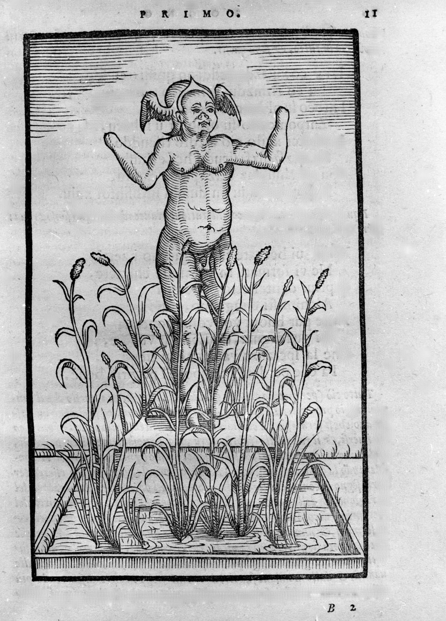 Homme sans bras - w "The Transmutatione Metallica Sogni Tre" Giovanniego Battisty Nazari, zredagowanej w Brescii w 1599 autorstwa Unknown artist