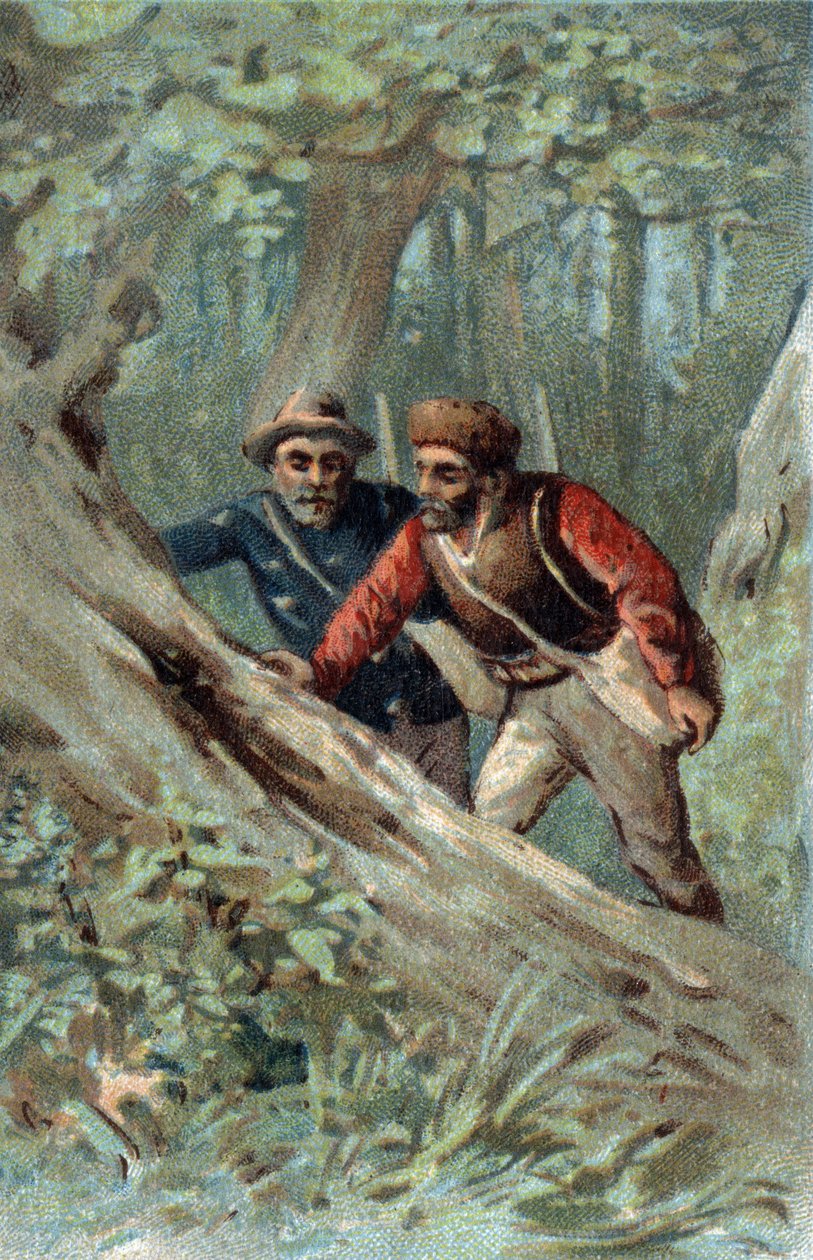Poszukiwacze miodu w Kanadzie szukają drzewa roju. Chromolitografia z końca XIX wieku. autorstwa Unknown artist