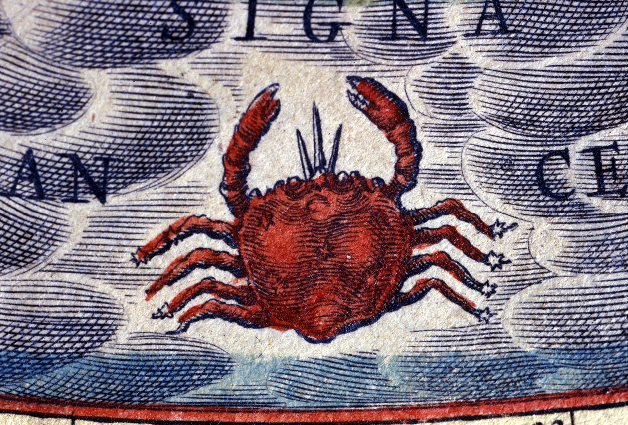 Horoskop: znak zodiaku, Rak. Grawerowanie z XVI wieku. autorstwa Unknown artist