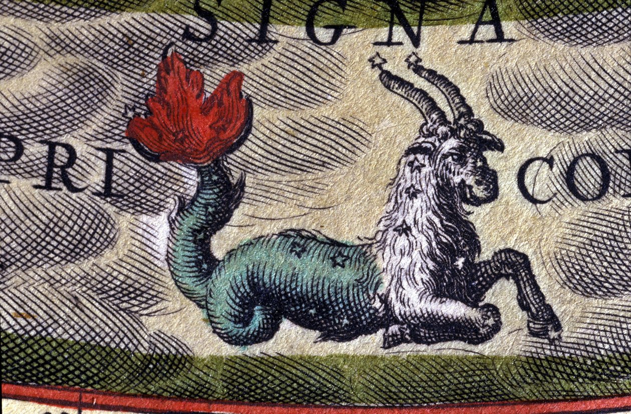 Horoskop: znak zodiaku, Koziorożec. Grawerowanie z XVI wieku. autorstwa Unknown artist