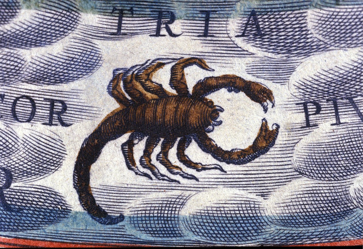 Horoskop: znak zodiaku, Skorpion. autorstwa Unknown artist