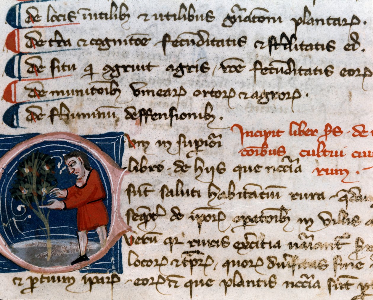 Ogrodnictwo: zbiór owoców. Szczegół. Strona rękopisu (MS.s.vi) "" Przysmak rolniczy "" Pietro de Crescenzi (Crescent Stone lub Crescens Stone) (1233-1320) XIV-wieczna Cesena, Biblioteca Malatestiana autorstwa Unknown artist