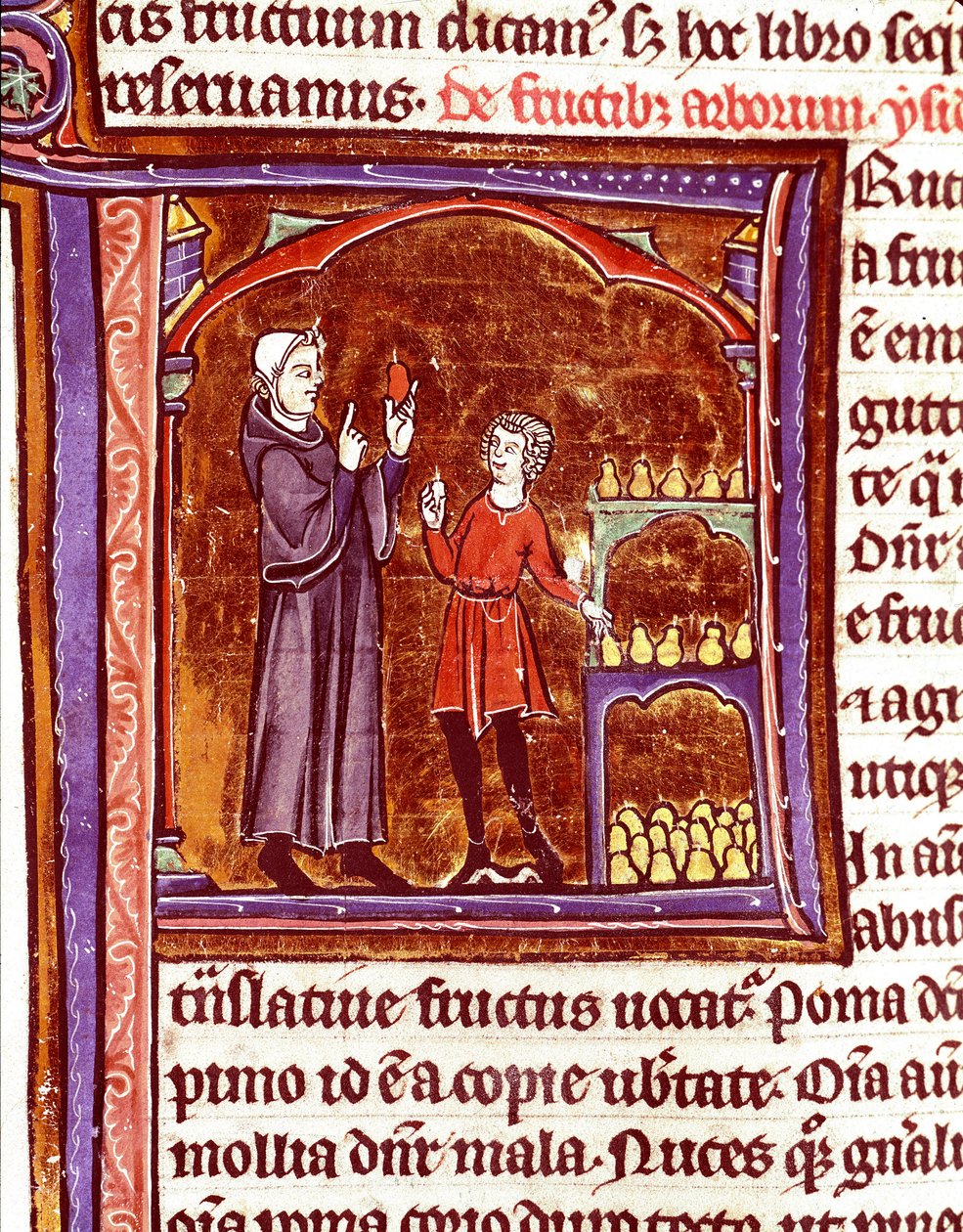 Jak przechowywać gruszki Miniatura z rękopisu „Speculum historiale” (historia Le Mirror) Vincenta de Beauvais (1184/94-1264) Laon z XIII wieku, biblioteka miejska autorstwa Unknown artist