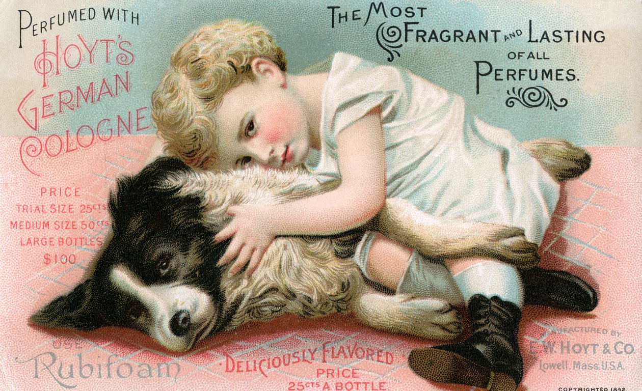 Niemiecka ilustracja z Kolonii Hoyta autorstwa Unknown artist