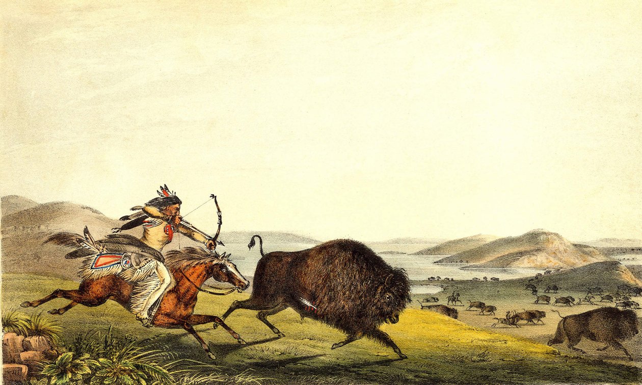 Polowanie na żubry w Ameryce Północnej. sd. 19 wiek. autorstwa Unknown artist