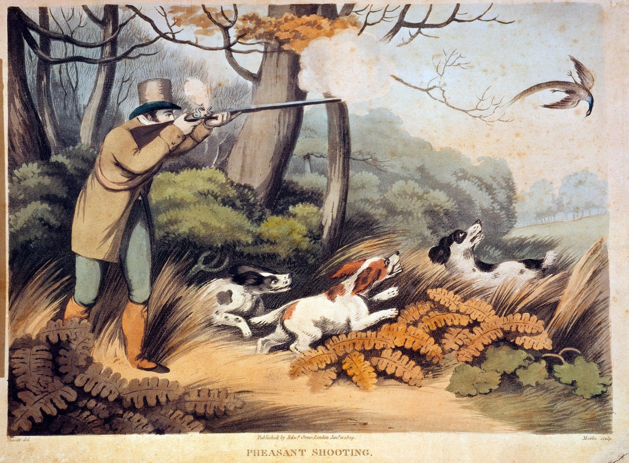 Polowanie na bażanty w Anglii. Grawerowanie z XIX wieku. Gien, muzeum polowań autorstwa Unknown artist