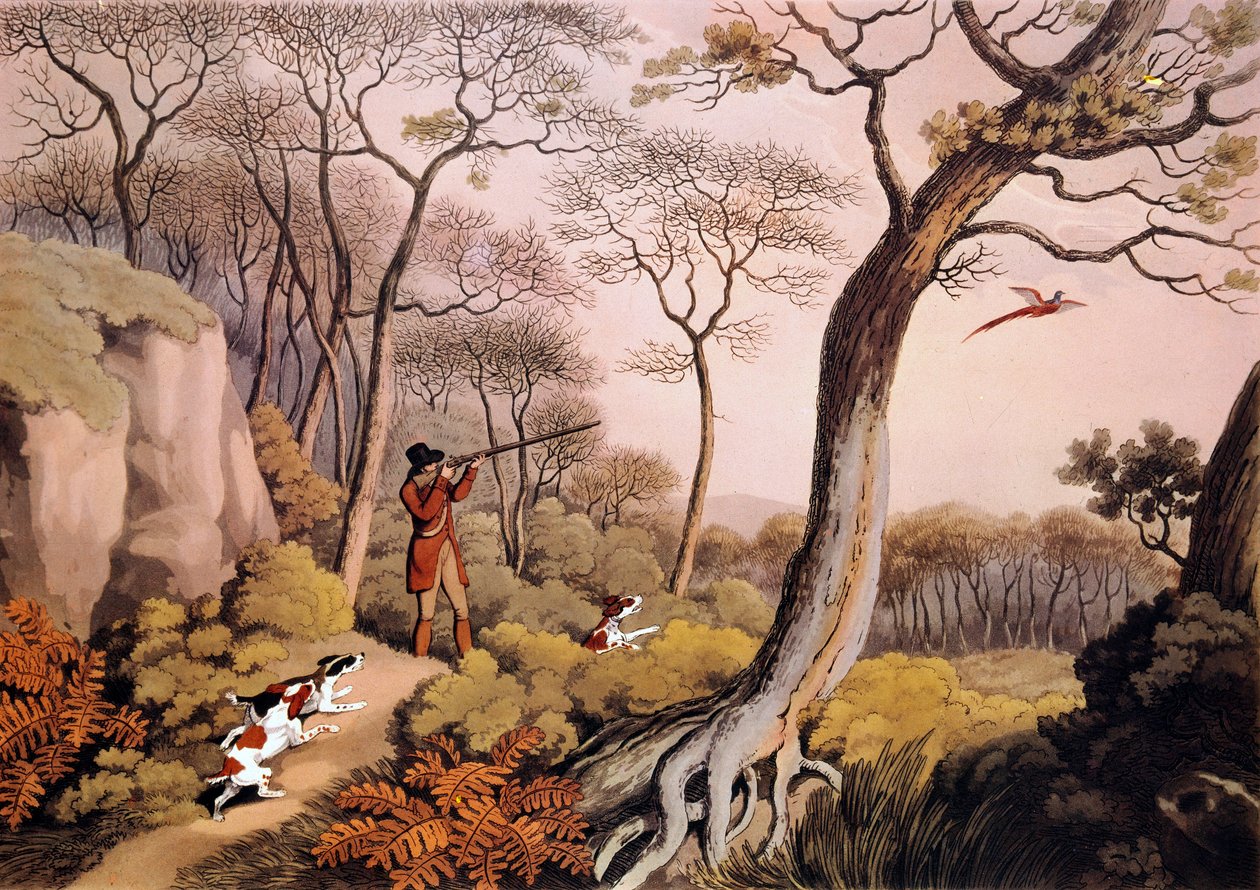 Polowanie na bażanty w Anglii. Grawerowanie z XIX wieku. Gien, muzeum polowań autorstwa Unknown artist
