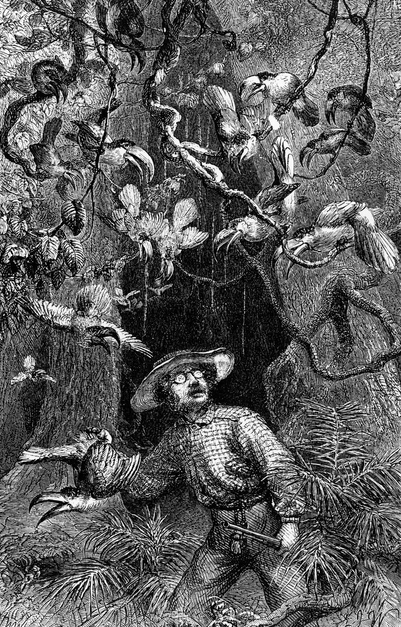 Ilustracja "The Naturalist on the River Amazon" autorstwa Henry