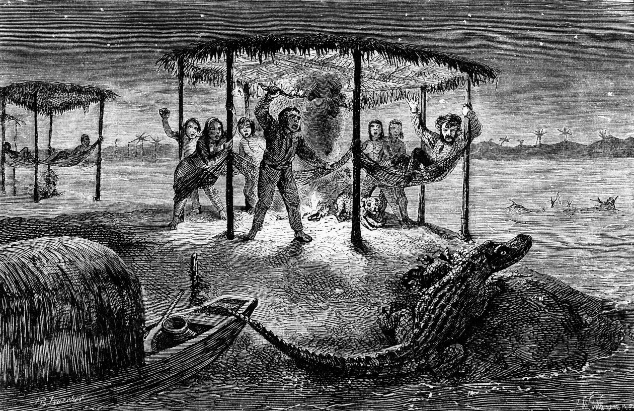 Ilustracja "The Naturalist on the River Amazon" autorstwa Henry