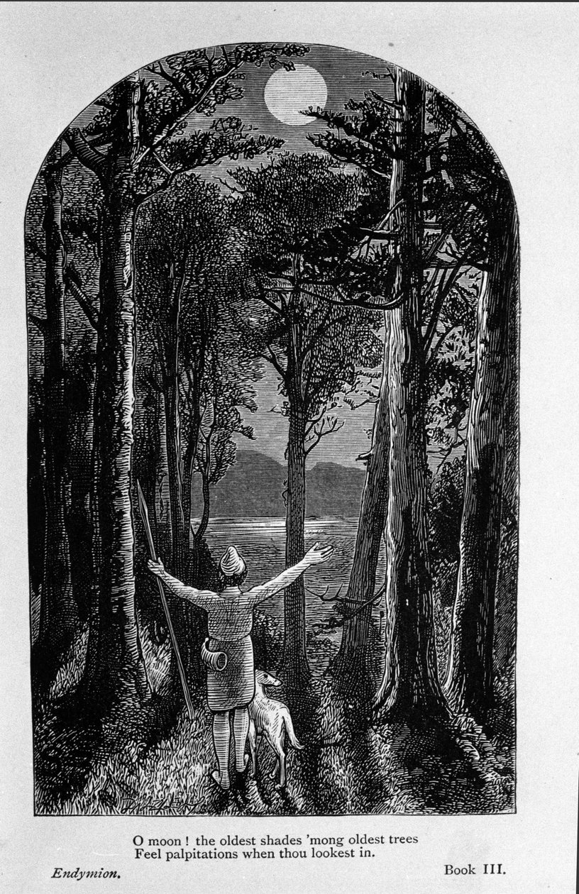 Ilustracja do „Endymiona” poety Johna Keatsa (1795-1821) XIX wiek autorstwa Unknown artist