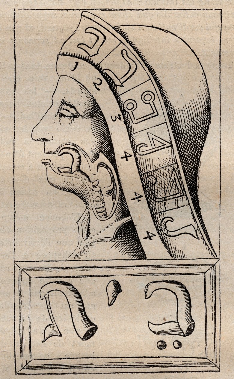 Ilustracja z: „Alfabet Natury” (Alfabet Natury) Francisa Mercuriusa van Helmonta (1618–1699) (Francois Mercure Van Helmont twierdził, że każda litera alfabetu hebrajskiego (uważana za początek autorstwa Unknown artist