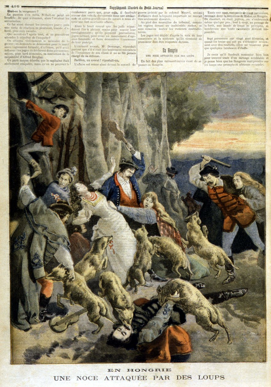 Na Węgrzech: wesele zaatakowane przez wilki – w „Le Petit Journal” z 23.12.1894 r. autorstwa Unknown artist