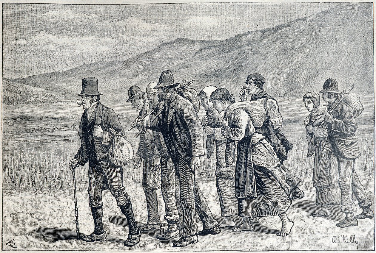Irlandia: pracownicy sezonowi do zbiorów autorstwa Unknown artist