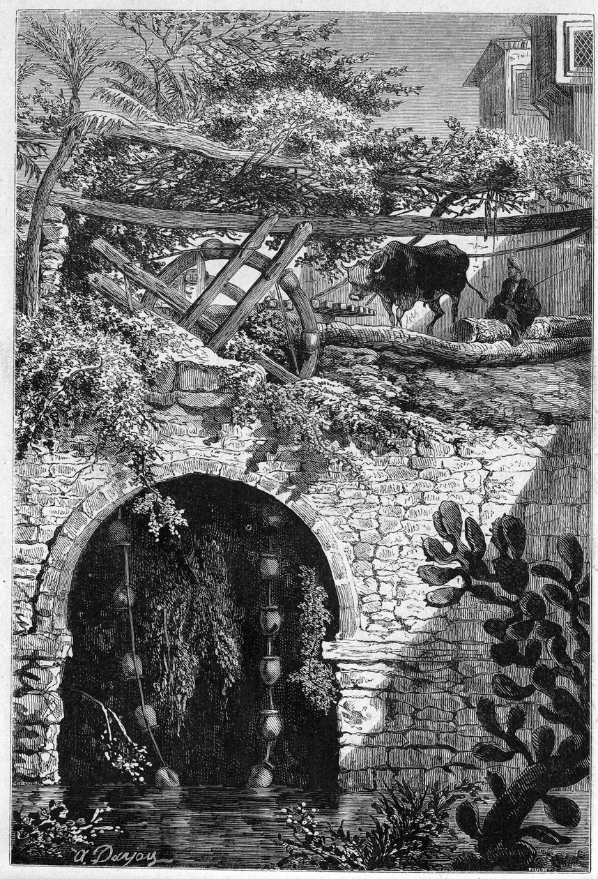 Nawadnianie w Egipcie: wół obraca koło, wokół którego owinięte są wiadra. Grawer w „” Le Monde Illustré”” nr 1313 z 27 maja 1882 r. autorstwa Unknown artist