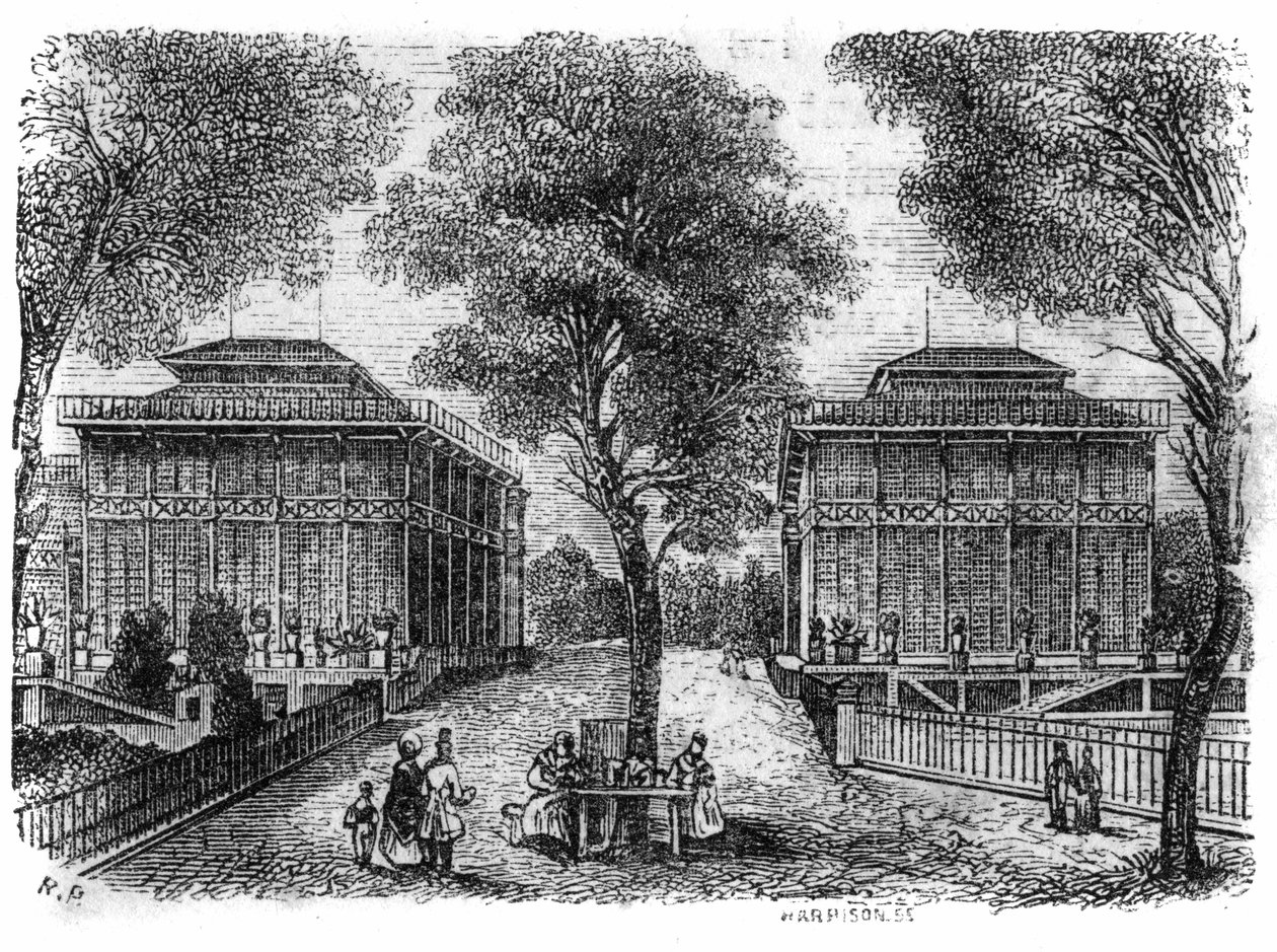 Jardin des Plantes w Paryżu w 1861 r.: żelazne pawilony. autorstwa Unknown artist