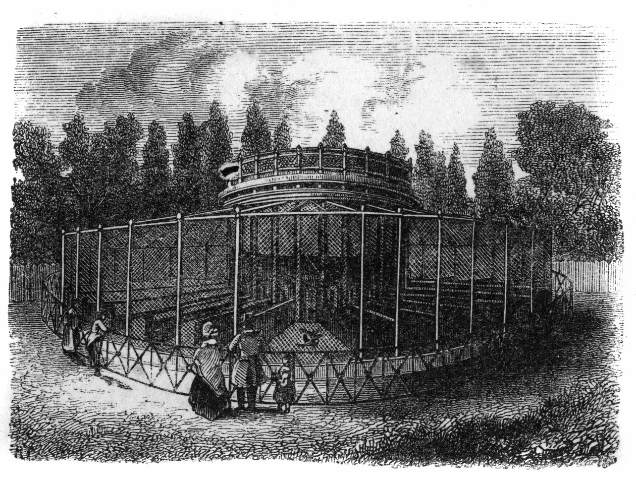 Jardin des Plantes w Paryżu w 1861 r.: bażanderie. autorstwa Unknown artist