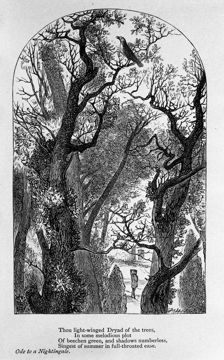 John Keats: Oda do słowika autorstwa Unknown artist