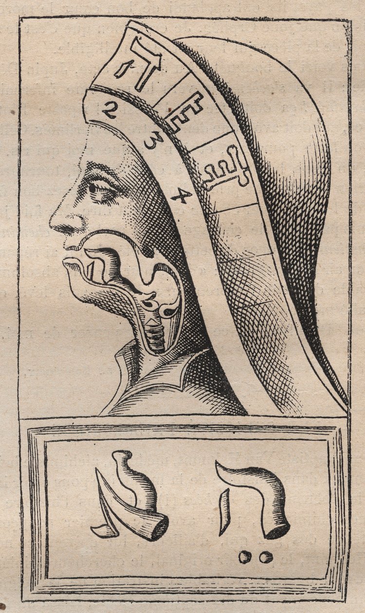 Kabbalah - Kabbalale - Ilustracja z: "Alfabet alfabetu hebrajskiego" (Alfabet Natury) Francisa Mercury van Helmonta (1618-1699) (Francois Mercure Van Helmont) - W tej pracy van Helmont twierdził, że każdy list autorstwa Unknown artist