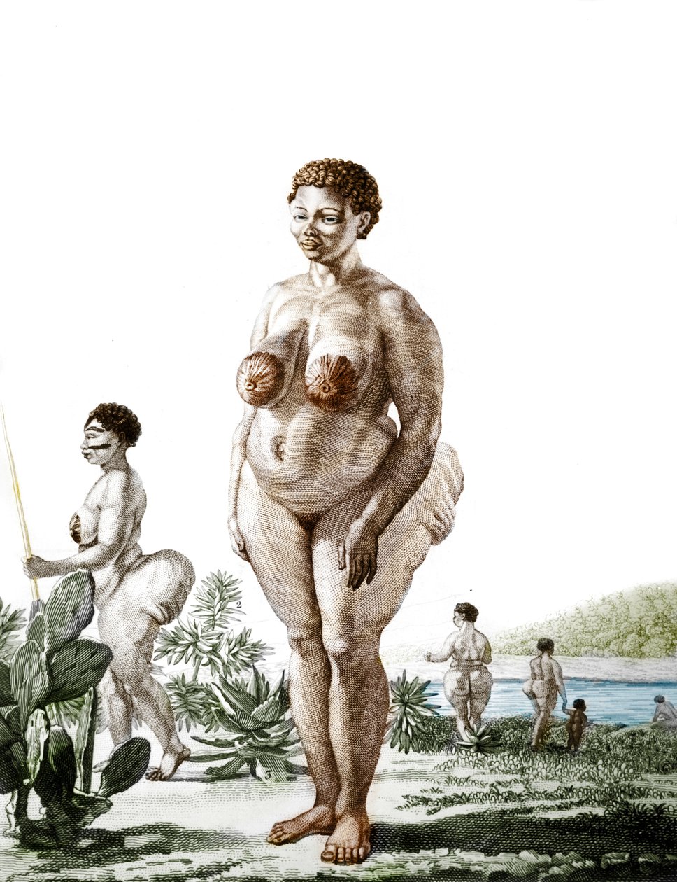 La Venus Hottentote, kobieta rasy Bochiman (The Hottentot Venus), grawerowanie z 1815 roku. autorstwa Unknown artist