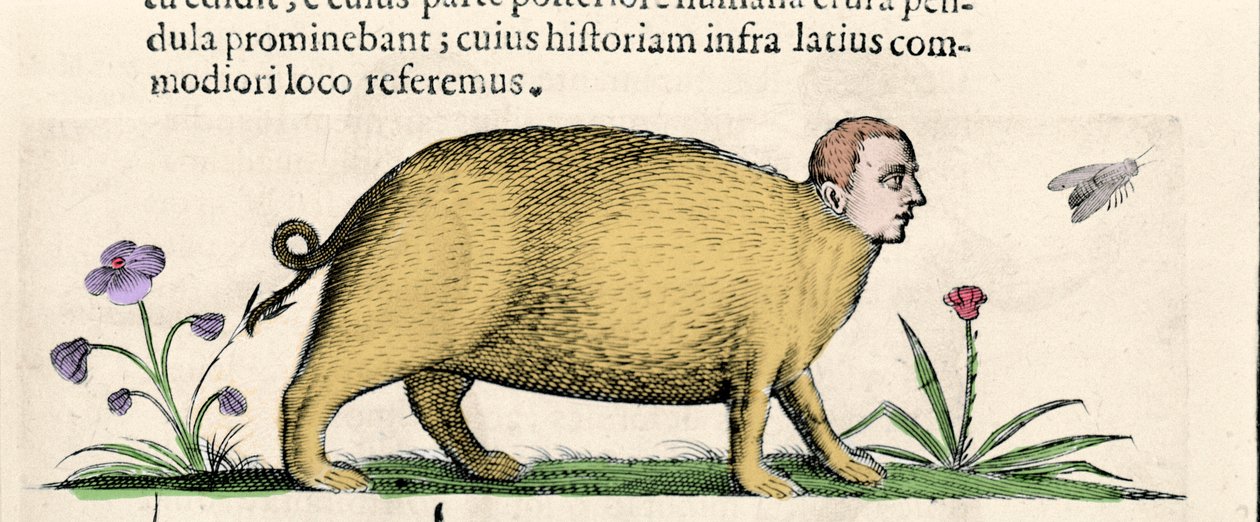 La manticore - w "O naturze potworów powoduje, książka druga" autorstwa Fortunio Chociaż autorstwa Unknown artist