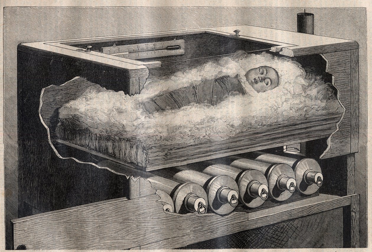 Sztuczne macierzyństwo: inkubator dzieci - Grawerowanie w „La Science francaise” autorstwa Unknown artist