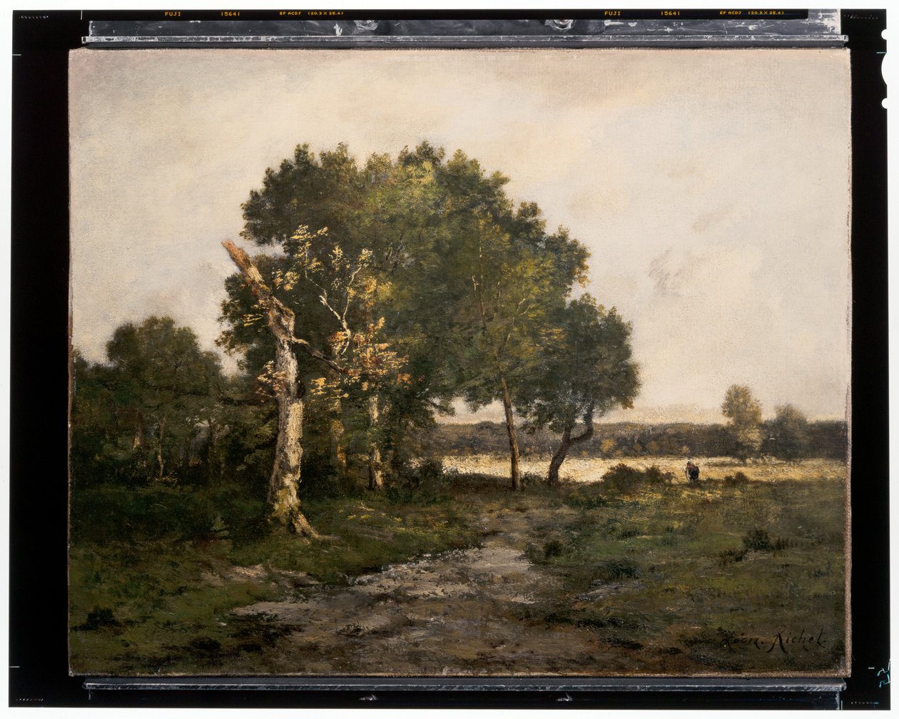 Krajobraz, ok. XIX w. (olej na płótnie) autorstwa Unknown artist