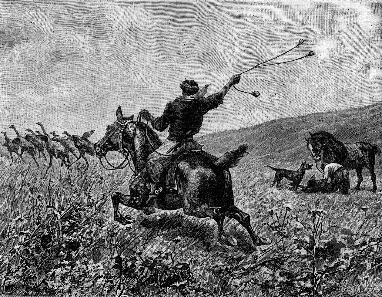 Lasso: polowanie na kazuar z kulkowym lassem. Grawerowanie w „” Dzienniku Młodzieży”” autorstwa Unknown artist