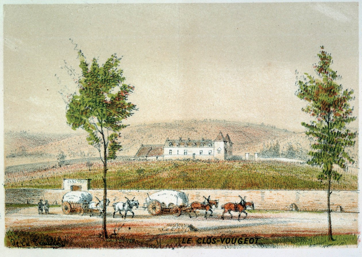 Le clos Vougeot, winnica Cote d