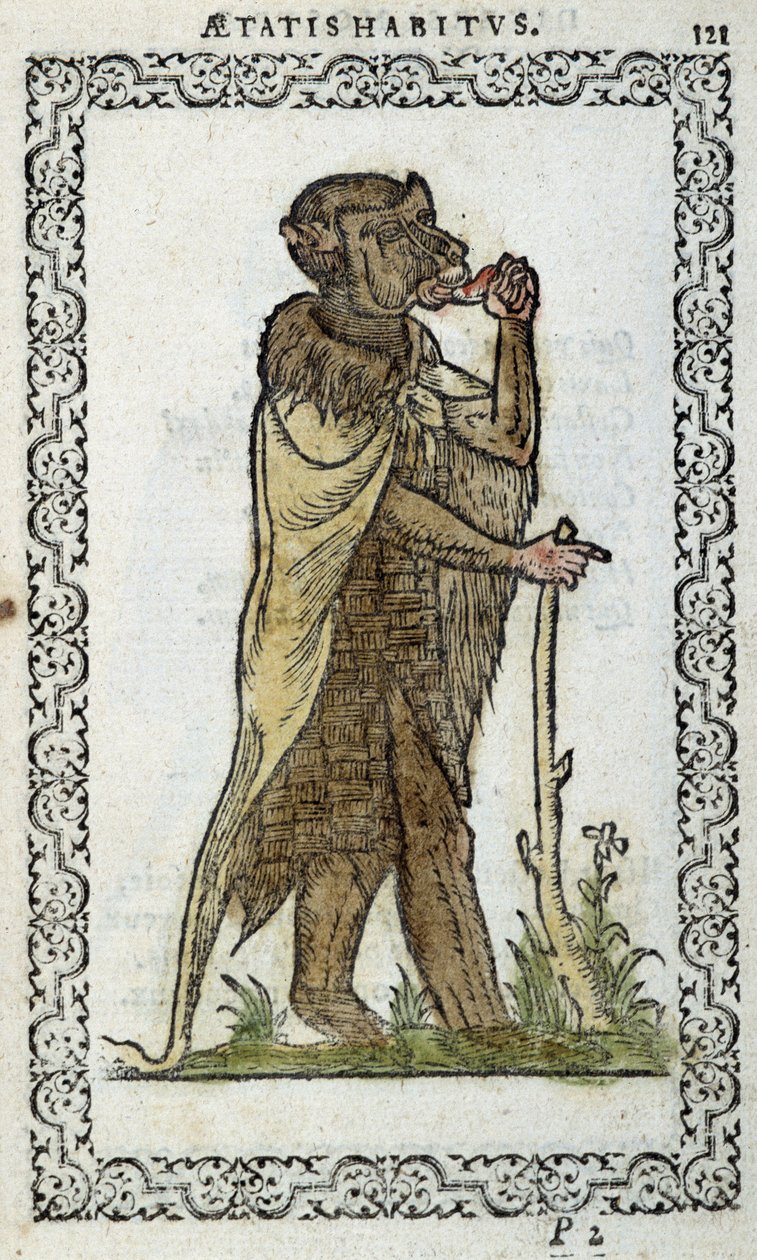 Stojący monge - w „Habits et effigies” Jeana Sulperiusa autorstwa Unknown artist