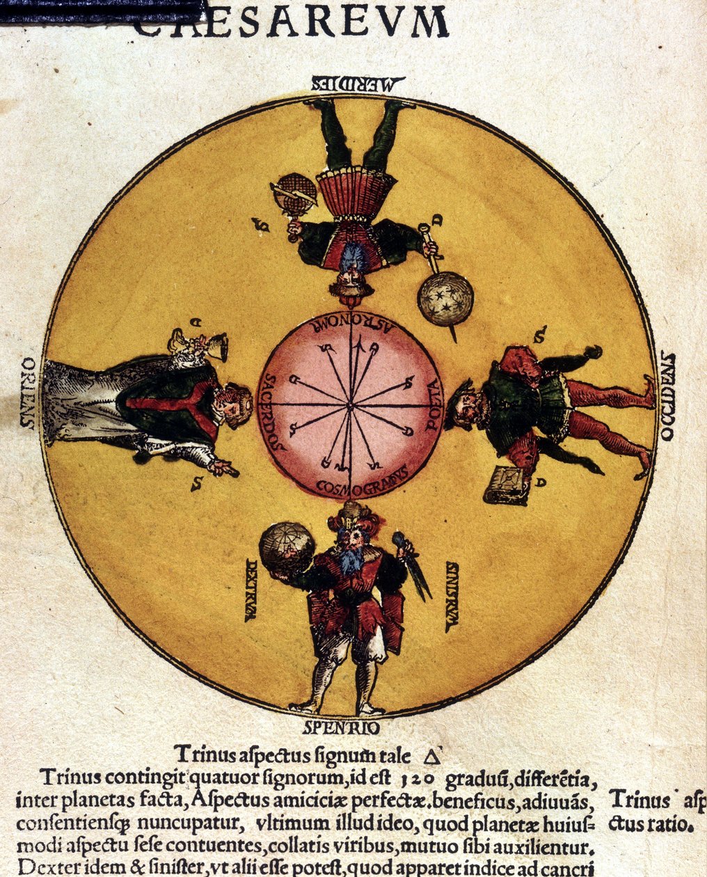Les antipodes - w „Astronomicon caesarum””, traktacie z XVI wieku. autorstwa Unknown artist