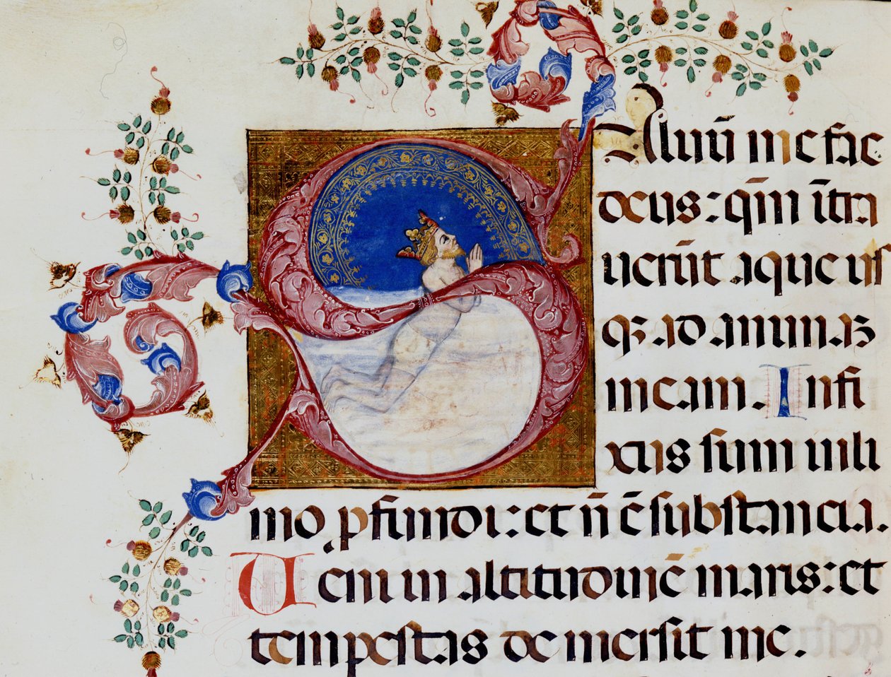 Lettrine S: Dawid w głębokim świetle - Antyfonarz z XV wieku. Biblia Miejska z Rimini. autorstwa Unknown artist