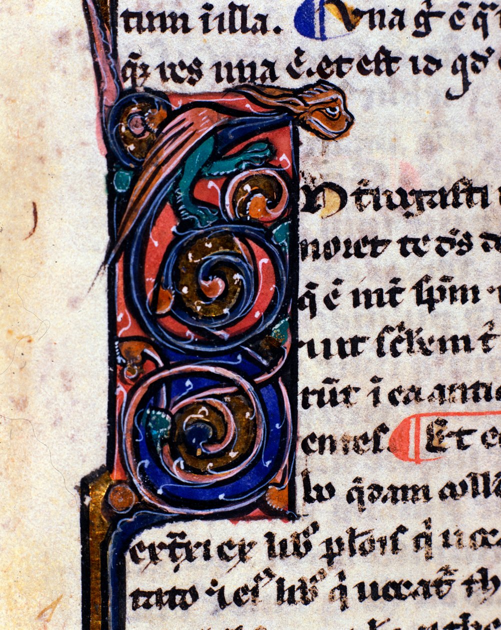 Lettrine decoree gotyckiego potwora przypominającego gargulce Fragment XIV-wiecznego rękopisu. autorstwa Unknown artist