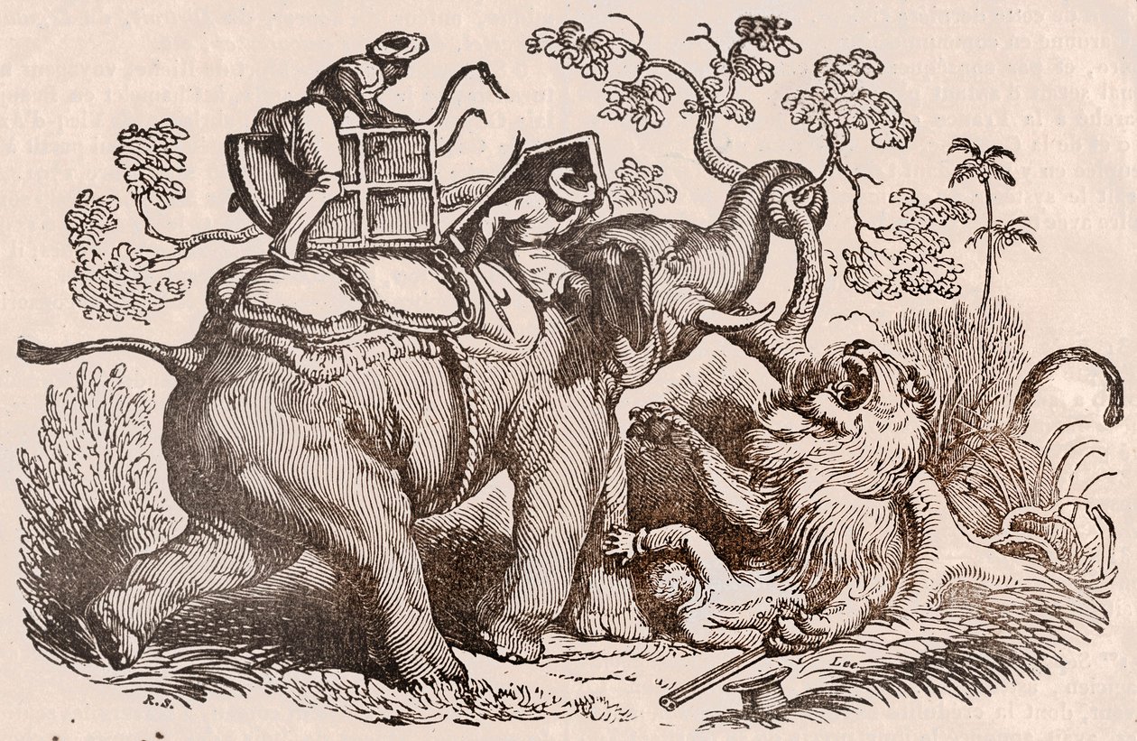 Scena polowania na lwa: myśliwy, grób słonia, znajduje się teraz w szponach lwa (rycina) autorstwa Unknown artist