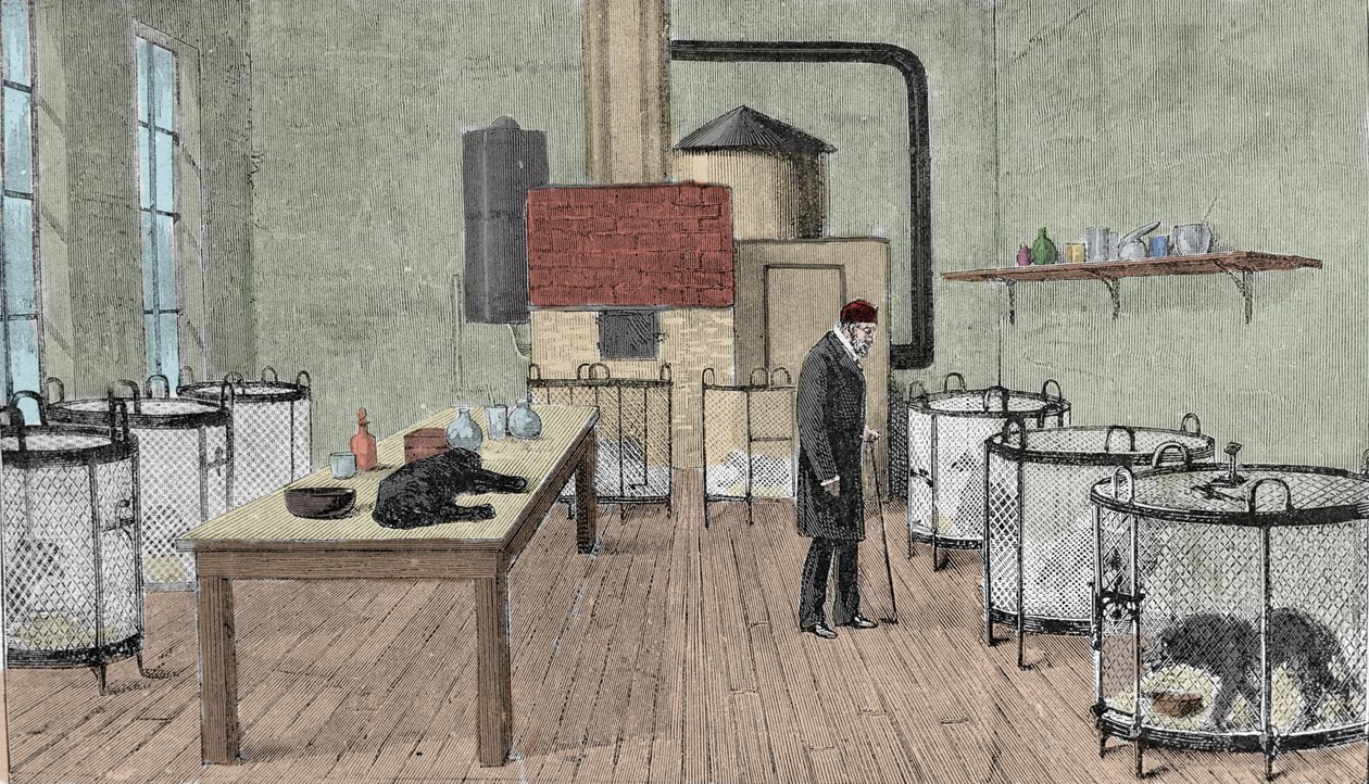 Louis Pasteur (1822-1895), francuski chemik i fizyk w swoim laboratorium w Paryżu. autorstwa Unknown artist