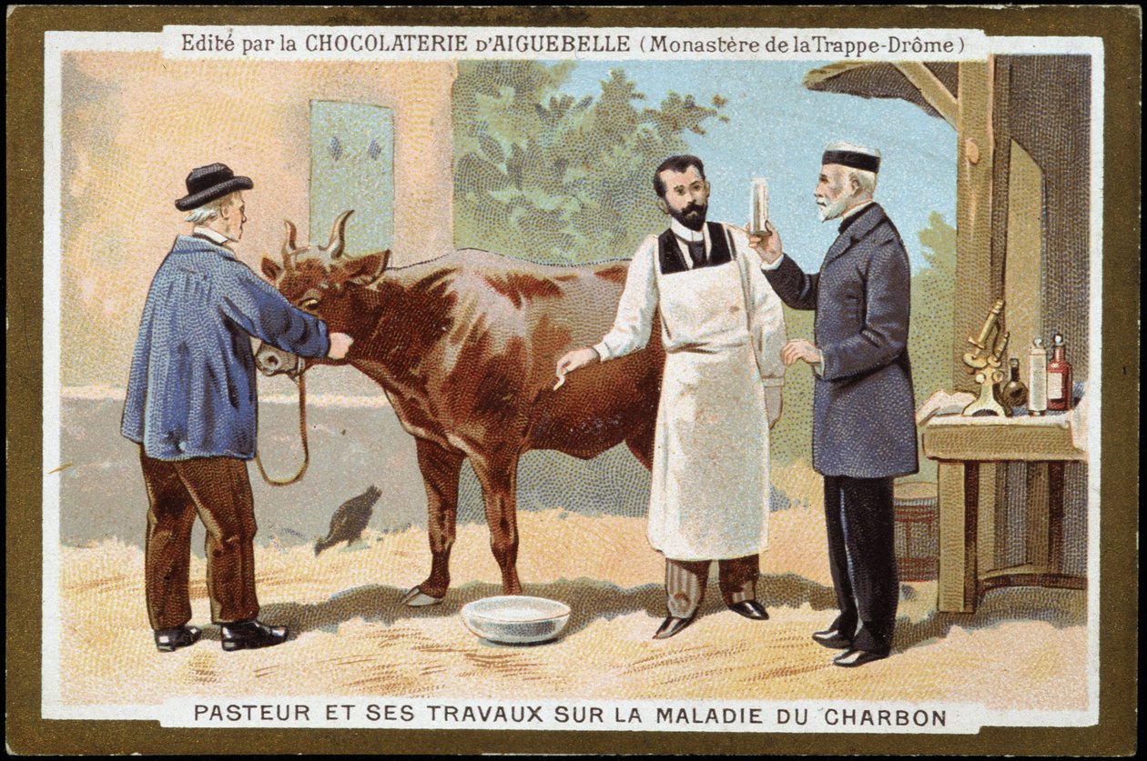 Louis Pasteur i jego praca na temat choroby węgla drzewnego - etykieta reklamowa Chocolats d