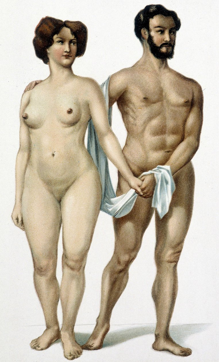 Mężczyzna i kobieta - księga lekarska, koniec XIX wieku autorstwa Unknown artist