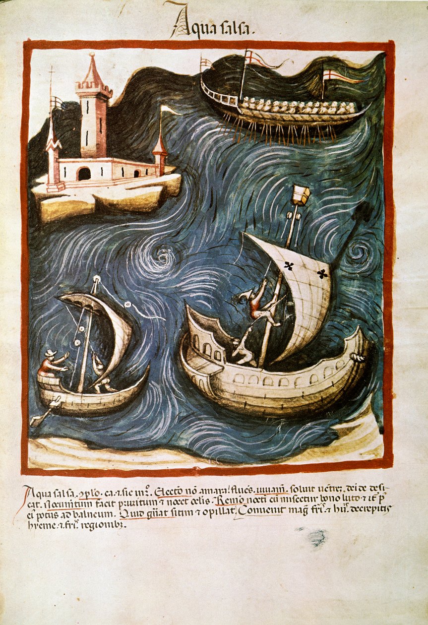 Handel lekami: „”słona woda”” Strona zaczerpnięta z „”Tacuinum sanitatis”” (Cod. ser. nov. 2644) Około 1400 Wiedeń, Austriacka Biblioteka Narodowa autorstwa Unknown artist