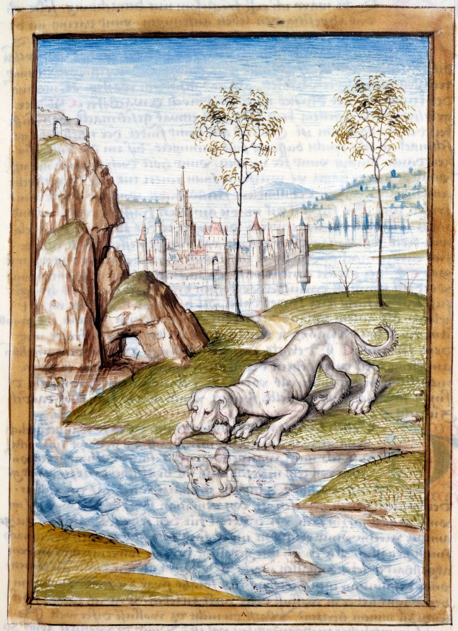 Miniaturowe zwierzęta z niemieckiego przekładu bajek „Kalila (Calila) i Dimna” Bidpaia. XV-wieczne Chantilly, Musee Conde autorstwa Unknown artist