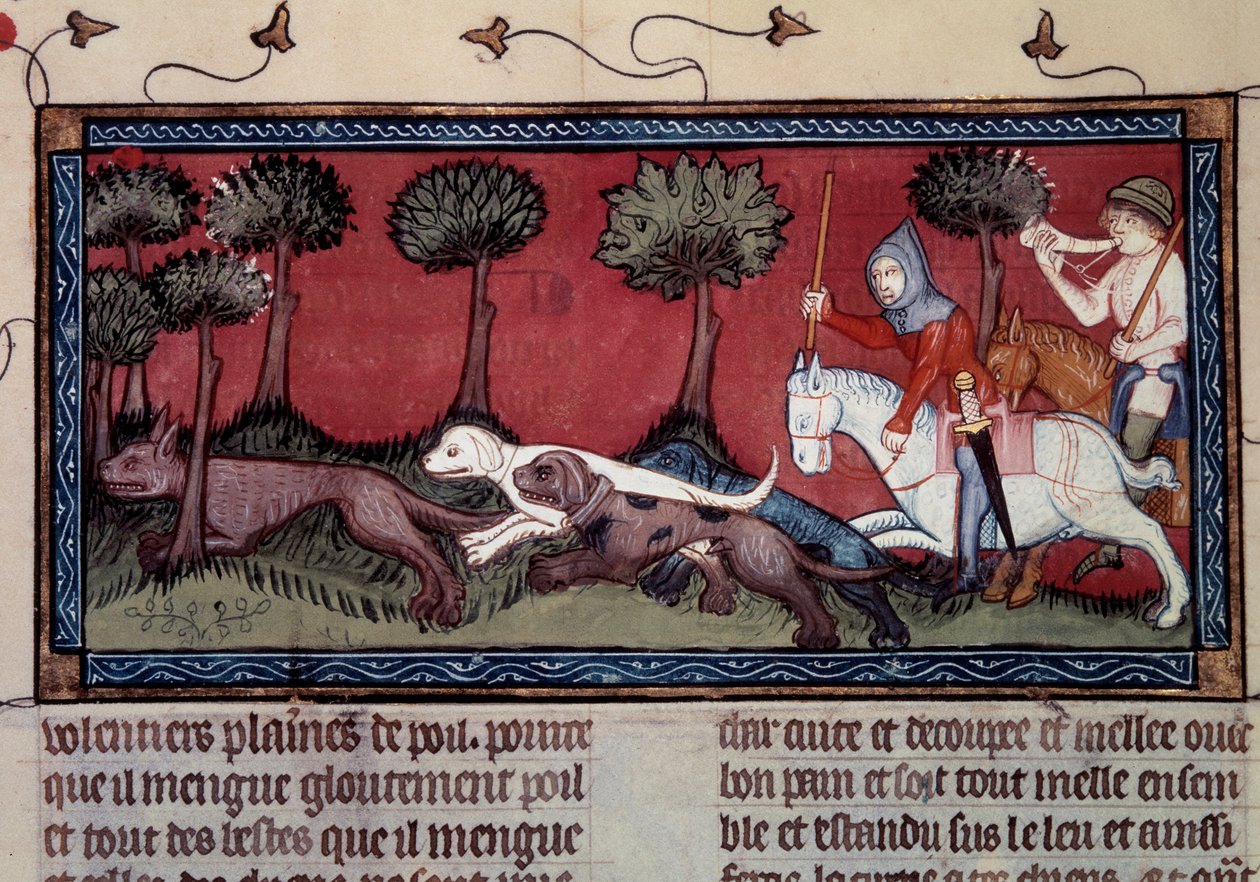 Miniaturowe polowanie na lisa z rękopisu ks. 1297 „” księga Króla Modusa i Królowej Ratio” Henri de Ferrieres (XIV wiek) autorstwa Unknown artist