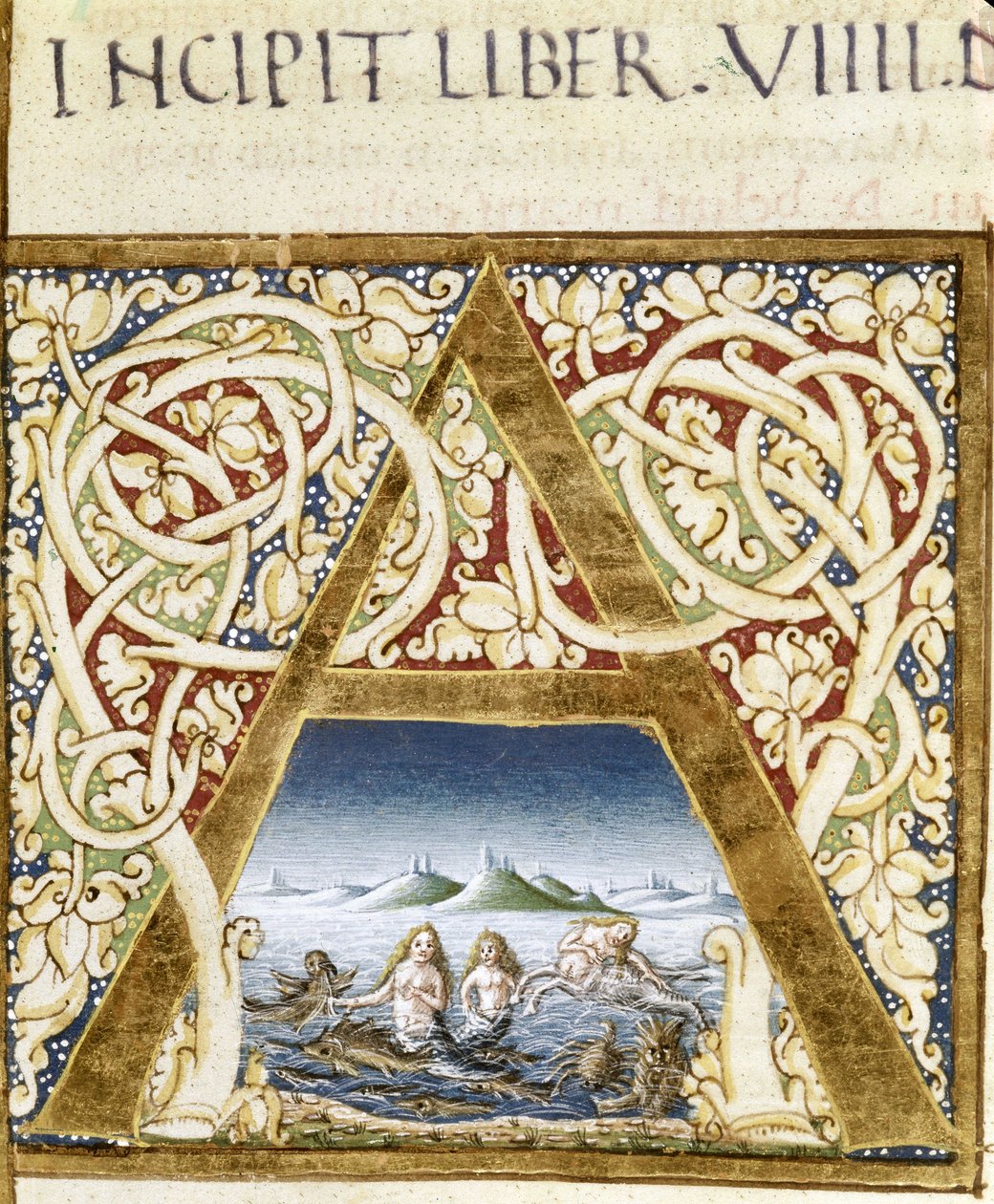 Miniatura przedstawiająca syreny. Litera „A” – w „Naturis Historiae” Pliniusza Starszego (23-79), wyd. 1480. Biblioteka Wiktorii i Alberta autorstwa Unknown artist